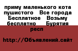 приму маленького кота пушистого - Все города Бесплатное » Возьму бесплатно   . Бурятия респ.